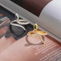 Basic Classic Style Commute Snake 316 Stainless Steel  Women's Rings main image 6