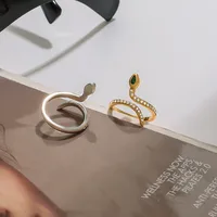 Basic Classic Style Commute Snake 316 Stainless Steel  Women's Rings main image 8
