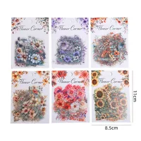 Flower Learning Craft Class PET Cartoon Style Vintage Style Stickers main image 10