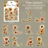 Flower Learning Craft Class PET Cartoon Style Vintage Style Stickers sku image 5