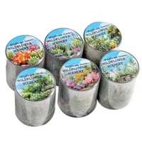 Plant Learning PET Retro Adhesive Tape main image 10