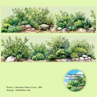 Plant Learning PET Retro Adhesive Tape sku image 3