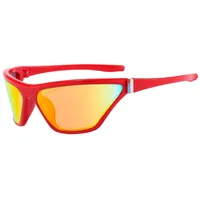 Sports Sunglasses Pc Sport Biker Full Frame Glasses sku image 4