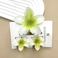 Women's Cute Flower Plastic Resin Stoving Varnish Hair Claws sku image 5