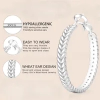 1 Pair Simple Style Classic Style Grain Plating Copper Earrings main image 5