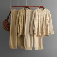 Casual Daily Women's Casual Simple Style Commute Style Solid Color Viscose Fiber Knit Leisure Suit Shorts Sets main image 5