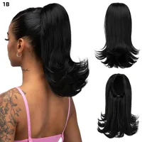 Women's Simple Style Street High Temperature Wire Ponytail Wigs sku image 1