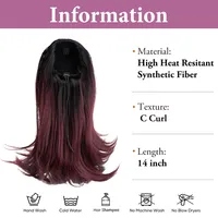 Women's Simple Style Street High Temperature Wire Ponytail Wigs main image 3