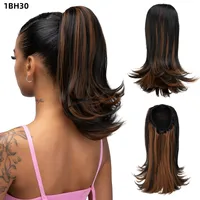Women's Simple Style Street High Temperature Wire Ponytail Wigs sku image 2