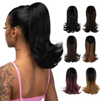 Women's Simple Style Street High Temperature Wire Ponytail Wigs main image 1