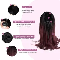 Women's Simple Style Street High Temperature Wire Ponytail Wigs main image 5