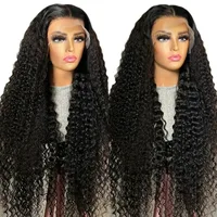 Unisex Casual Elegant Party Street High Temperature Wire Long Curly Hair Wigs main image 2