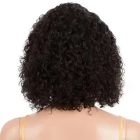 Unisex Simple Style Casual Holiday Street High Temperature Wire Short Curly Hair Wigs main image 5
