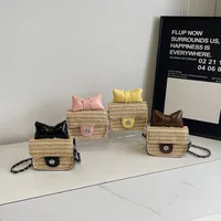 Women's Straw Bow Knot Elegant Cute Square Lock Clasp Crossbody Bag main image 1