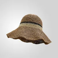 Women's Casual Style Basic Solid Color Big Eaves Straw Hat sku image 1