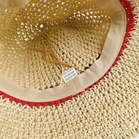 Women's Casual Style Basic Solid Color Big Eaves Straw Hat main image 3