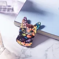 Cute Streetwear Cat Acrylic Acrylic Unisex Brooches main image 3