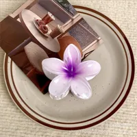 Women's Simple Style Flower Plastic Resin Hair Claws sku image 1