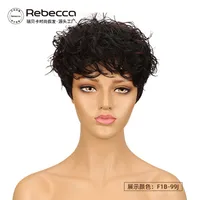 Unisex Star Fashion Casual Stage Street Real Hair Homogeneous And Oblique Short Curly Hair Neat Bangs Wigs main image 3