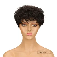 Unisex Star Fashion Casual Stage Street Real Hair Homogeneous And Oblique Short Curly Hair Neat Bangs Wigs sku image 1