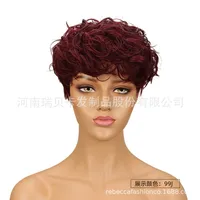 Unisex Star Fashion Casual Stage Street Real Hair Homogeneous And Oblique Short Curly Hair Neat Bangs Wigs sku image 3