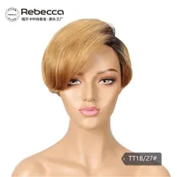 Women's Star Fashion Casual Stage Street Real Hair Side Fringe Short Straight Hair Wigs main image 4