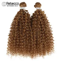 Women's Elegant Simple Style African Style Casual Stage Street Curls Wigs main image 1