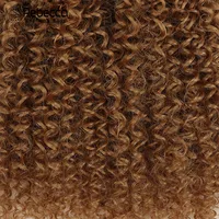 Women's Elegant Simple Style African Style Casual Stage Street Curls Wigs main image 4