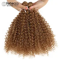 Women's Elegant Simple Style African Style Casual Stage Street Curls Wigs main image 5
