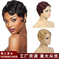Women's Classical Casual Real Hair Side Fringe Short Curly Hair Wigs sku image 2