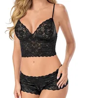 Foreign Trade   Sexy Lace Sexy Underwear Transparent Sling Three-point Wrap Chest Lace Underwear Set main image 2