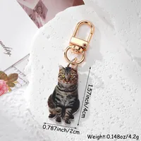 1 Piece Cartoon Style Cute Funny Cat Acrylic Alloy Bag Pendant main image 4