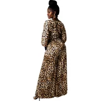 Casual Travel Tea Party Women's Elegant Vacation Sexy Color Block Zebra Leopard Polyester Pant Co-ord Set Shorts Sets main image 5