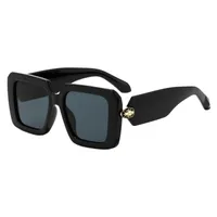 New Sunglasses CH5006 sku image 1