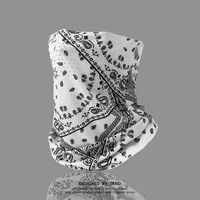 Mask UPF50 Punched New Petal Face Covering Veil Breathable Sunshade Summer Outdoor Sun Protection Veil Mask sku image 8