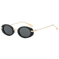 New  Retro Oval Ladies Sunglasses   Trend Personalized Small Frame Hot Sunglasses T22129 sku image 2