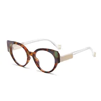 Hip-Hop Streetwear Leopard PC UV400 Protection Tinted Lenses Oval Frame Full Frame Glasses sku image 12