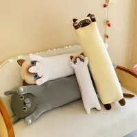 Stuffed Animals & Plush Toys Cat PP Cotton Toys main image 4