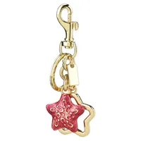 1 Piece Cute Classic Style Pentagram Alloy Plating Bag Pendant Keychain main image 5