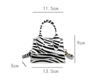 Niche Mini Crossbody Bag Female  New Fashion New Style Small Square Bag Zebra Print Textured Handbag main image 5