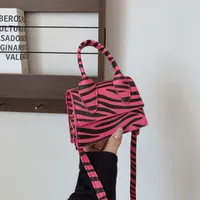 Niche Mini Crossbody Bag Female  New Fashion New Style Small Square Bag Zebra Print Textured Handbag main image 2