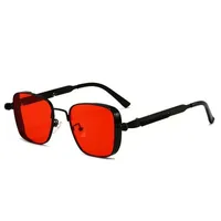 New  Retro Box Punk Steampunk Metal Foreign Trade Personalized Universal Fashion Sunglasses Batch sku image 5