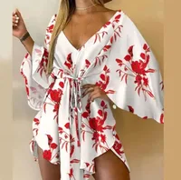 Wish Autumn  Foreign Trade New Sexy V-Neck Irregular Bat Sleeve Lace Dress main image 3