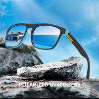 Outdoor Riding Polarized Elastic Paint Sunglasses Men's Retro Sports Sunglasses Men's UV Protection D731 main image 1