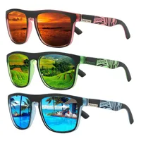 Outdoor Riding Polarized Elastic Paint Sunglasses Men's Retro Sports Sunglasses Men's UV Protection D731 main image 3