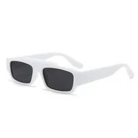 New  Small Frame Fashion Sunglasses Trendy Street Shot Net Red Sunglasses Men And Women  INS Wind Sunglasses sku image 12