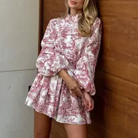Spring Independent Station New  Women's Clothing Elegant Elegant Fashion Long Sleeve Lace-up National Style Printing Dress main image 2