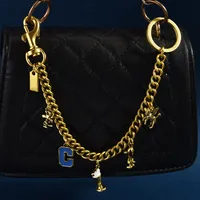 New Hot-Selling Dinosaur Love Shell Cherry Horseshoe Strawberry Apple Bag Hanging Chain Crossbody Bag For Women sku image 4