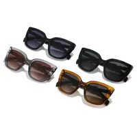 Foreign Trade New Personalized PC Frame Sunglasses Anti-ultraviolet Trend Street Photoshoot Cat's Eye Big Frame Hip Hop Sunglasses Men's 8912 main image 1