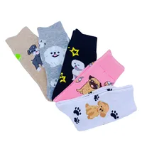 New Cartoon Socks Children's Mid-tube Ins Trendy Pure Cotton Spring Summer Autumn Thin Cute New Students Stockings main image 2